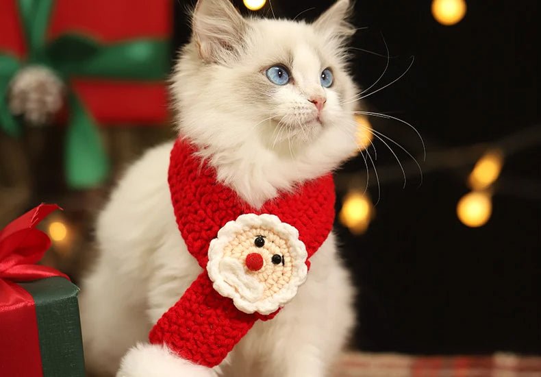 Christmas Pet Scarf & Hat – Adorable Red Scarf for Kittens & Puppies, Perfect Holiday Gift & Festive Accessory