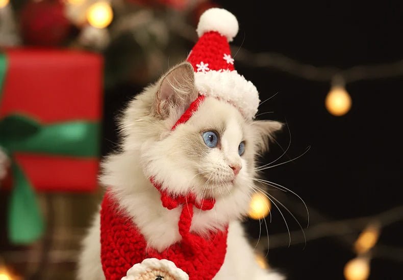 Christmas Pet Scarf & Hat – Adorable Red Scarf for Kittens & Puppies, Perfect Holiday Gift & Festive Accessory