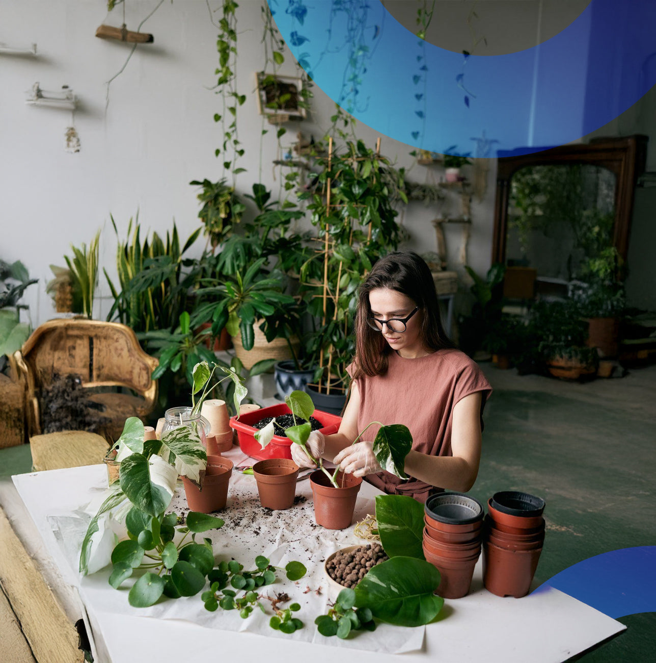 Home, Kitchen, Garden