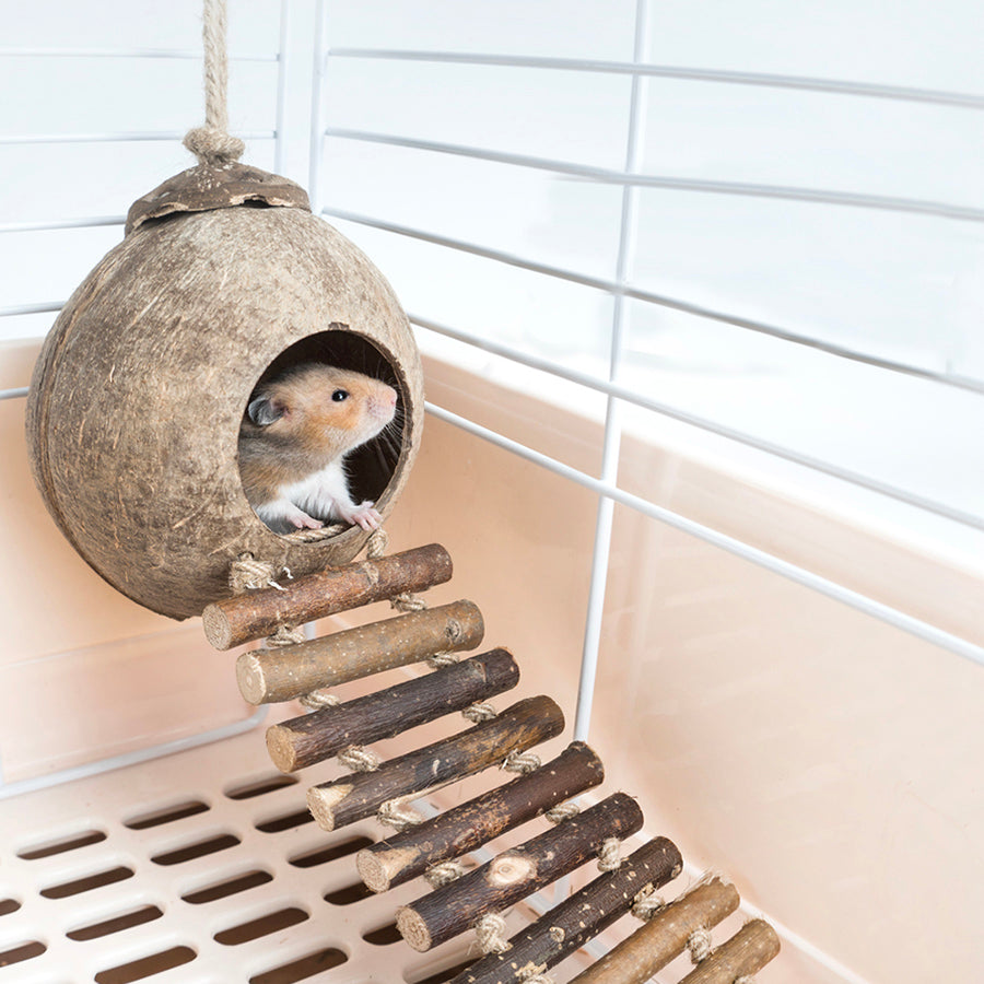 2-in-1 Climber and House, with Wood Ladders, for Hamster, Squirrel, Bird & More