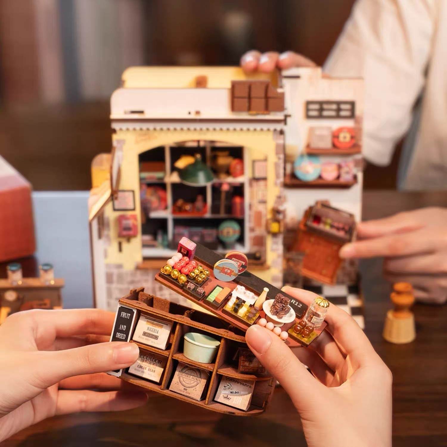 Henry's Chocolate DIY Miniature House
