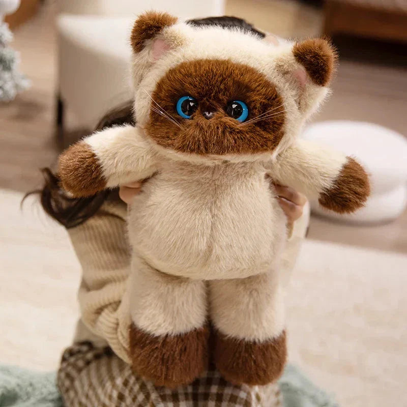 Big-eyed Calico Siamese Cat Plush Friends