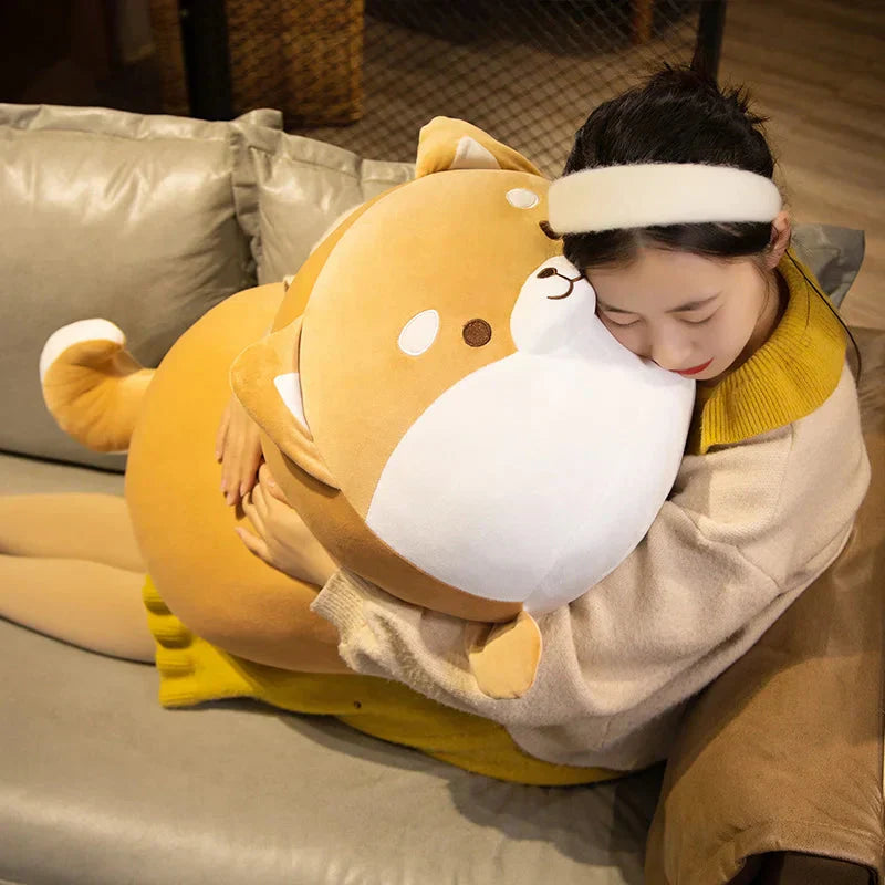 Chonky Shiba Squad Plushies