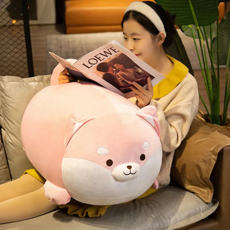 Chonky Shiba Squad Plushies