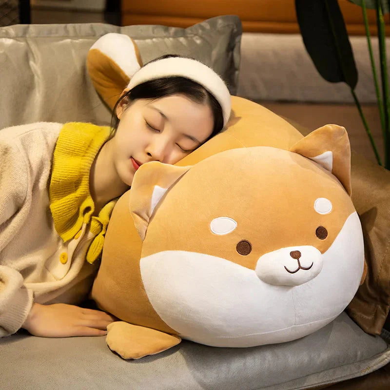 Chonky Shiba Squad Plushies