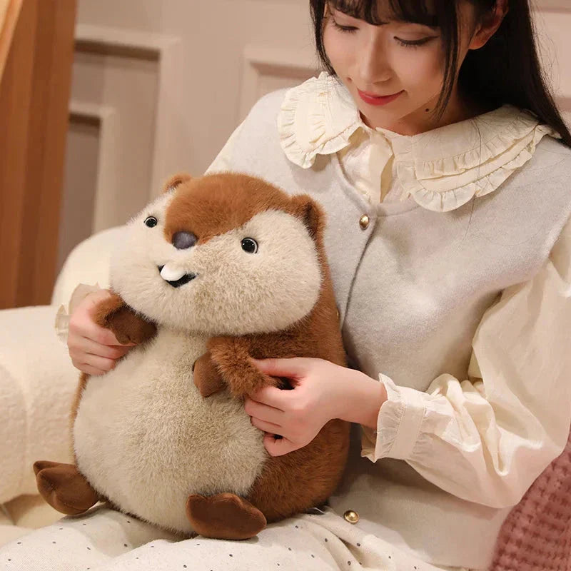 Chuck the Chunky Groundhog Plushie