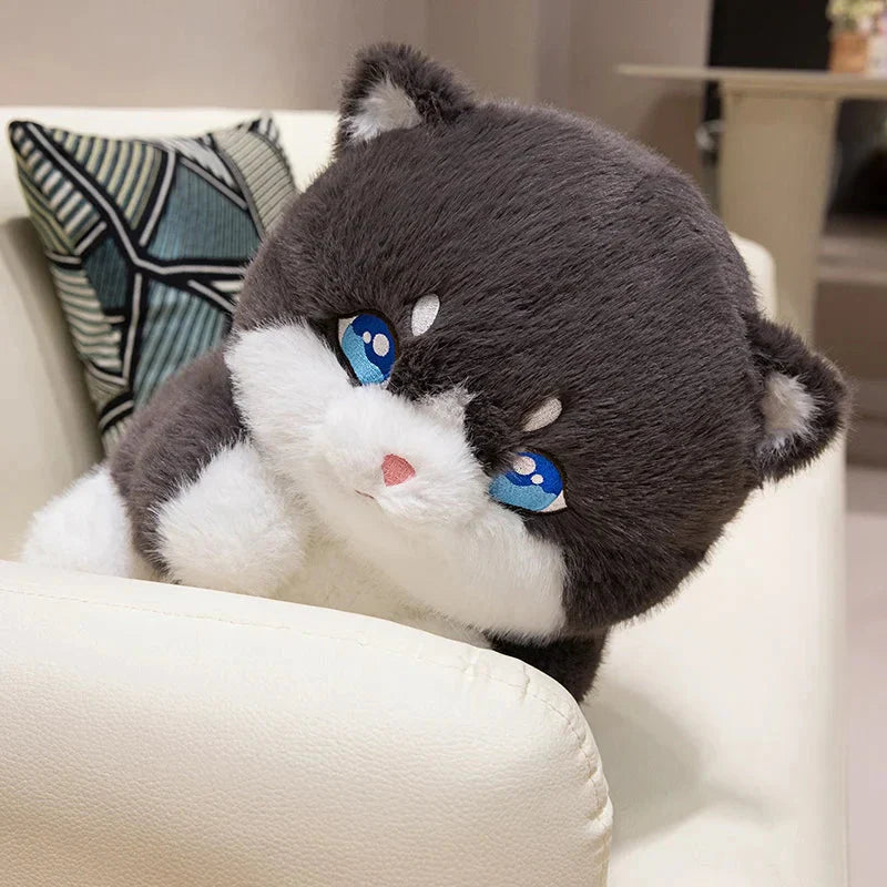 Cute Chubby Gray Ginger Cat Plushies