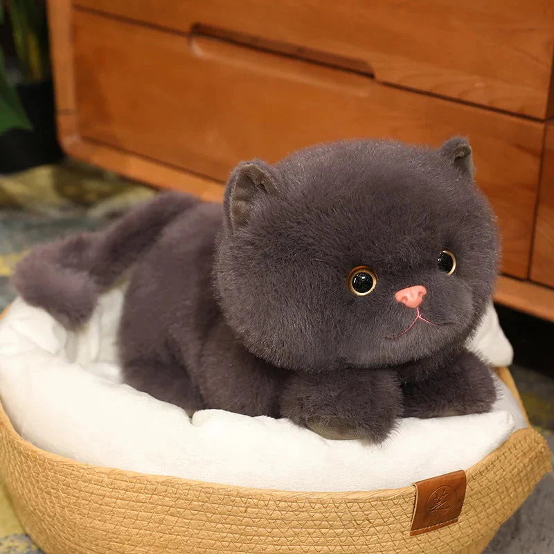 Fluffy Kitten Squad Laying Plushies
