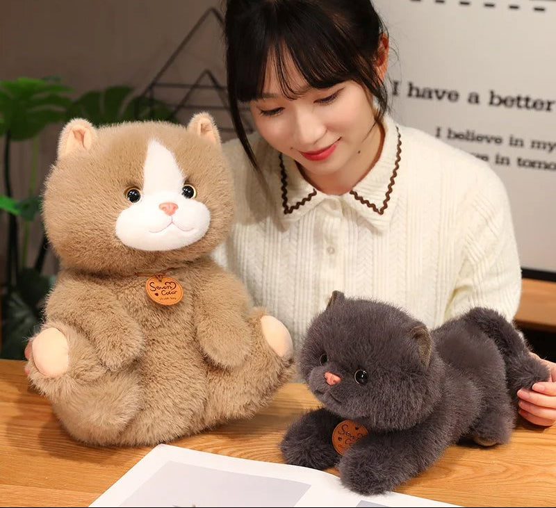 Fluffy Kitten Squad Plushies