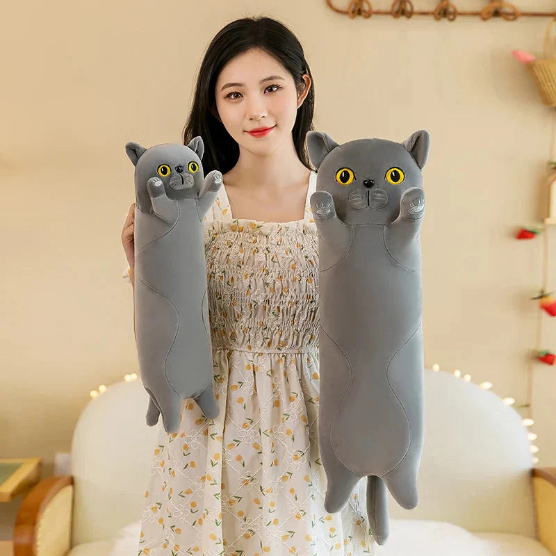 Long Snuggly Cat Siamese British Shorthair Snowshoe Plushies Collection