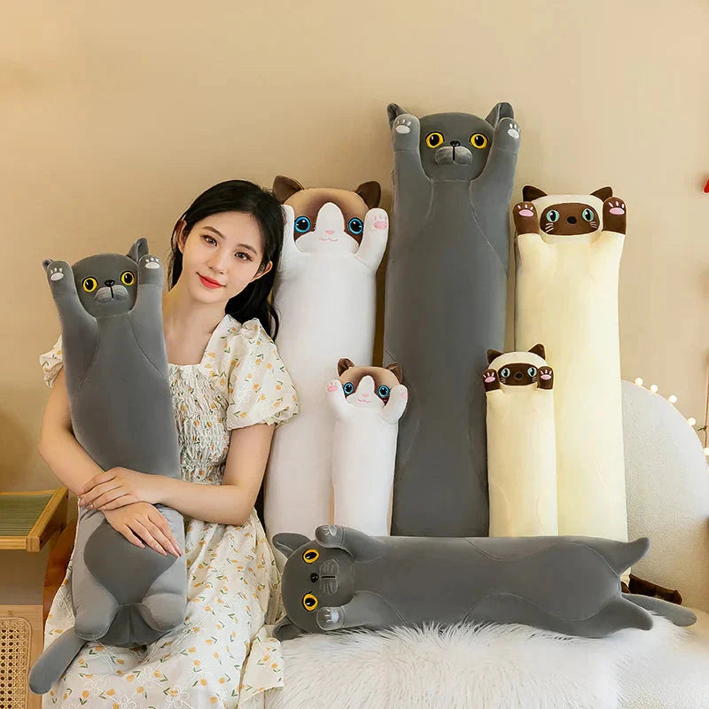 Long Snuggly Cat Siamese British Shorthair Snowshoe Plushies Collection