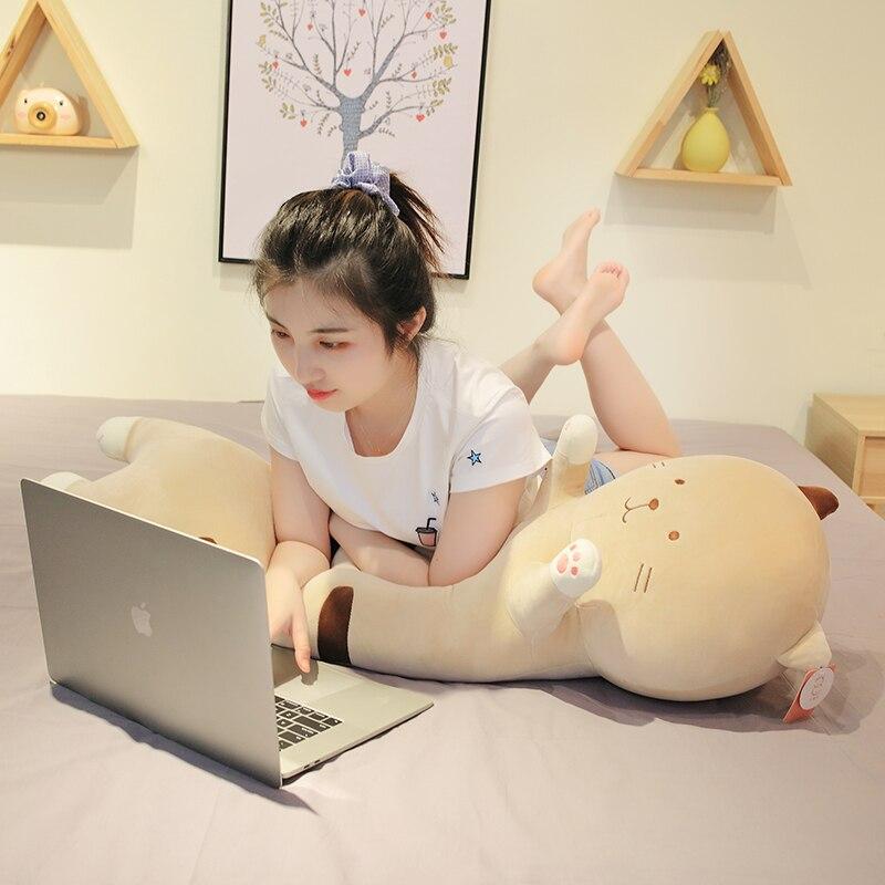 Long Snuggly Kitty Buddies