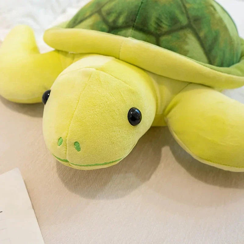 Sunny & Shelly the Sea Turtle Plushies