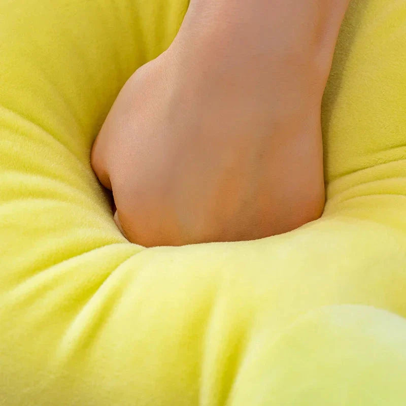 Sunny & Shelly the Sea Turtle Plushies