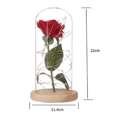 LED Beauty And The Beast Rose Battery Powered Valentine's Day Gift