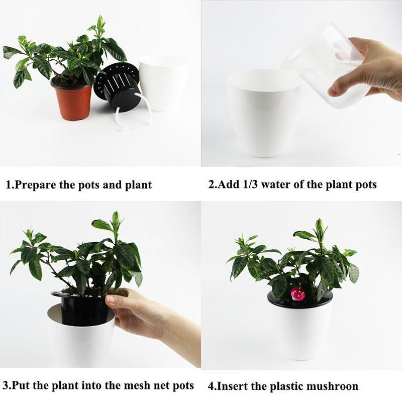 Self Watering Flower Pot