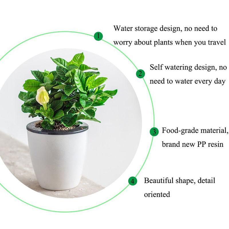 Self Watering Flower Pot