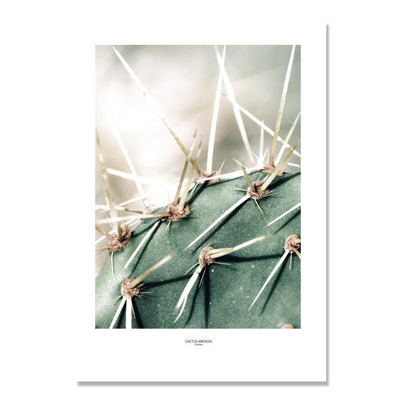 Green Cactus Wall Art