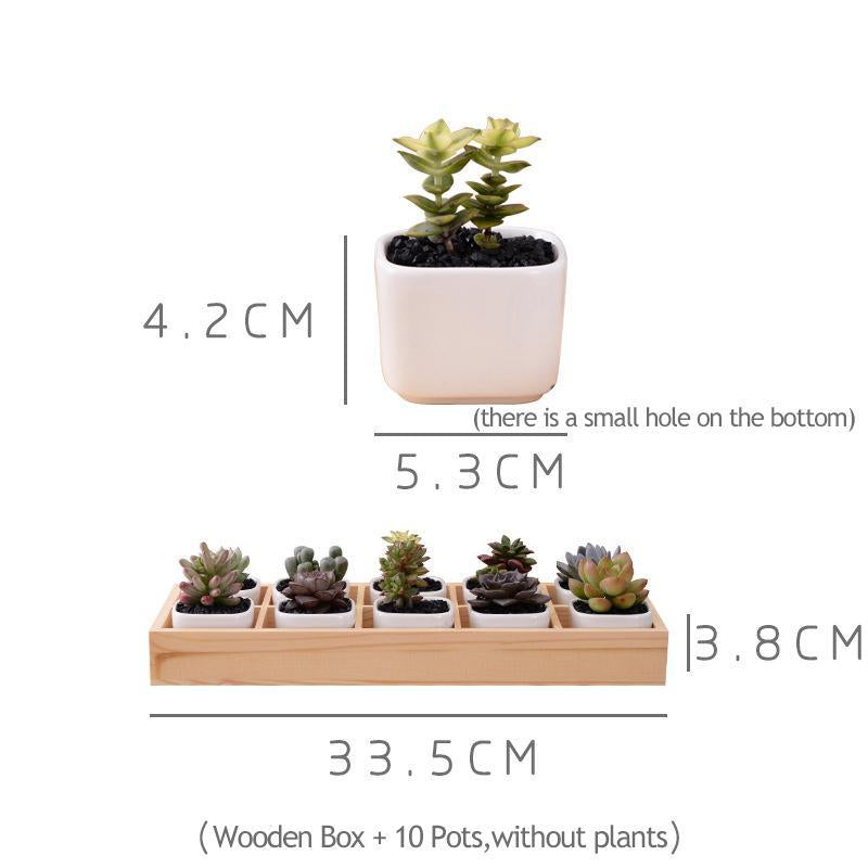 Mini Planter Tray Set