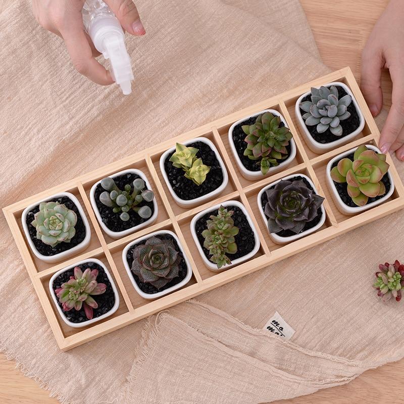 Mini Planter Tray Set