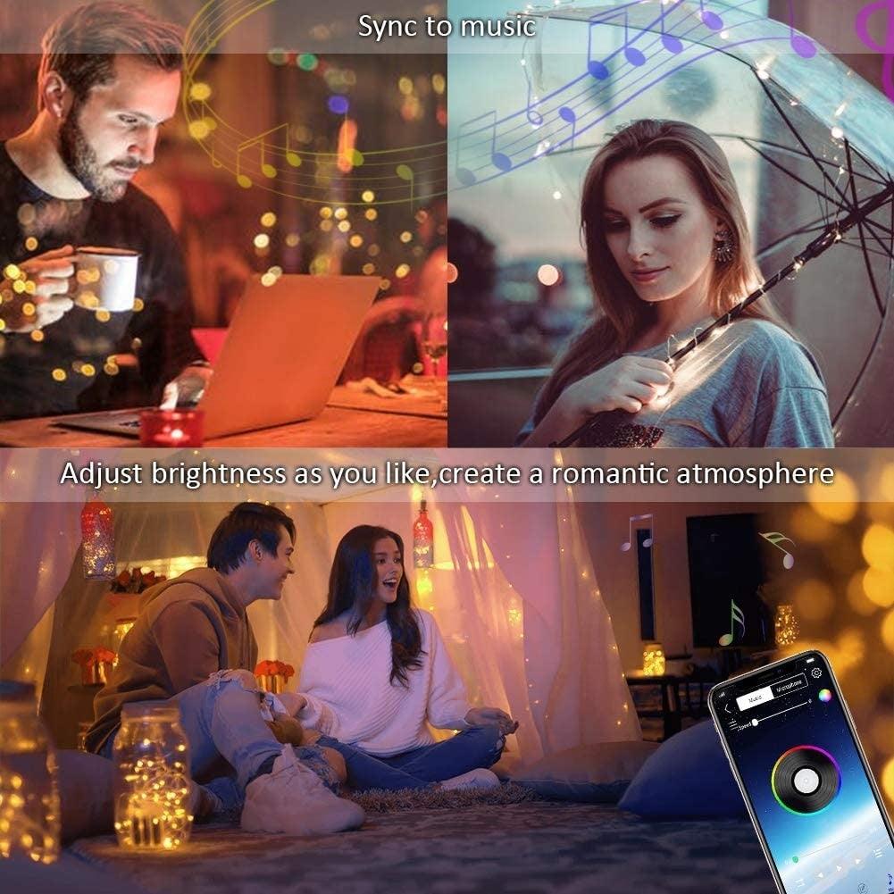 App Control Fairy Lights for Christmas Tree Decoration