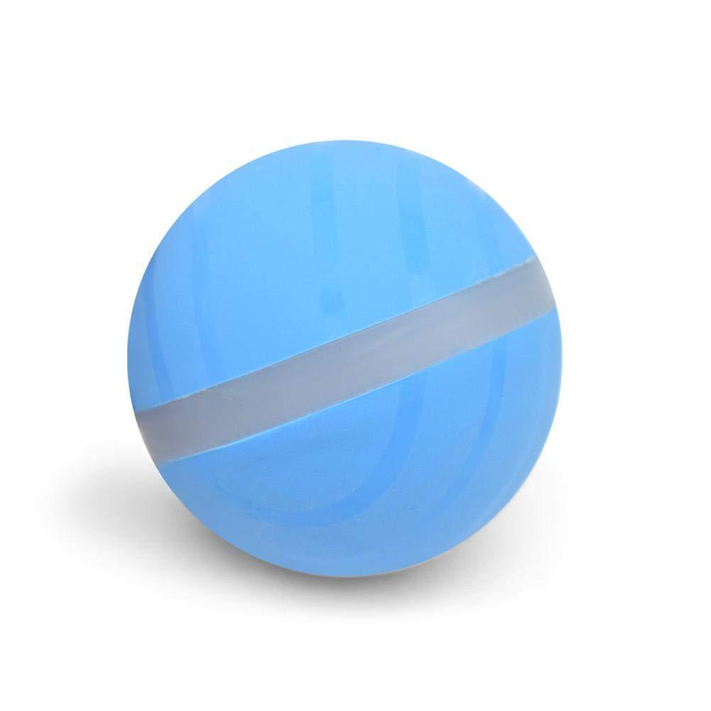 Pet Motion Ball