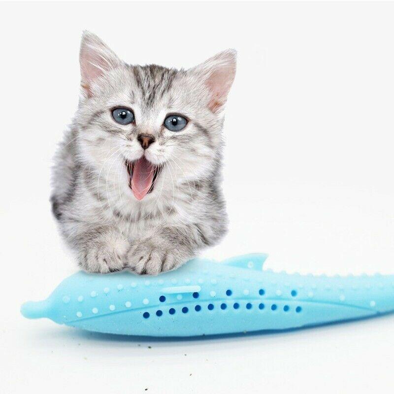 Dental Hygiene Cat Toy