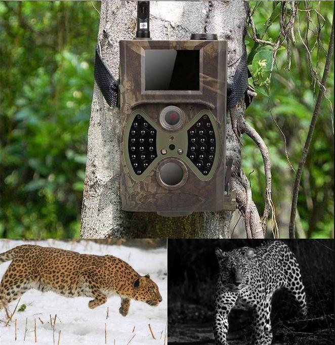 1HD Trail Cam Night Vision Hunting Camera