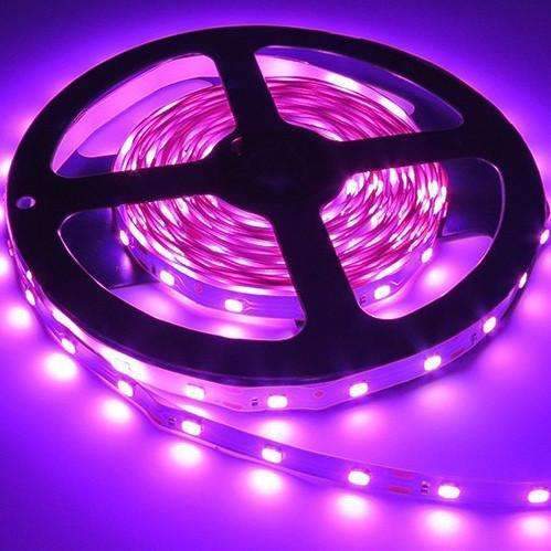 3528 LED Strips Light 12V 5M 300 Leds - Make Sure Detail is Perfect