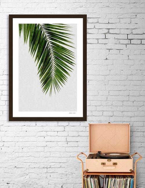 Palm Leaf I Frame
