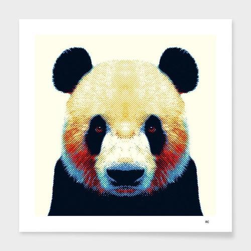 Panda - Colorful Animals  Frame