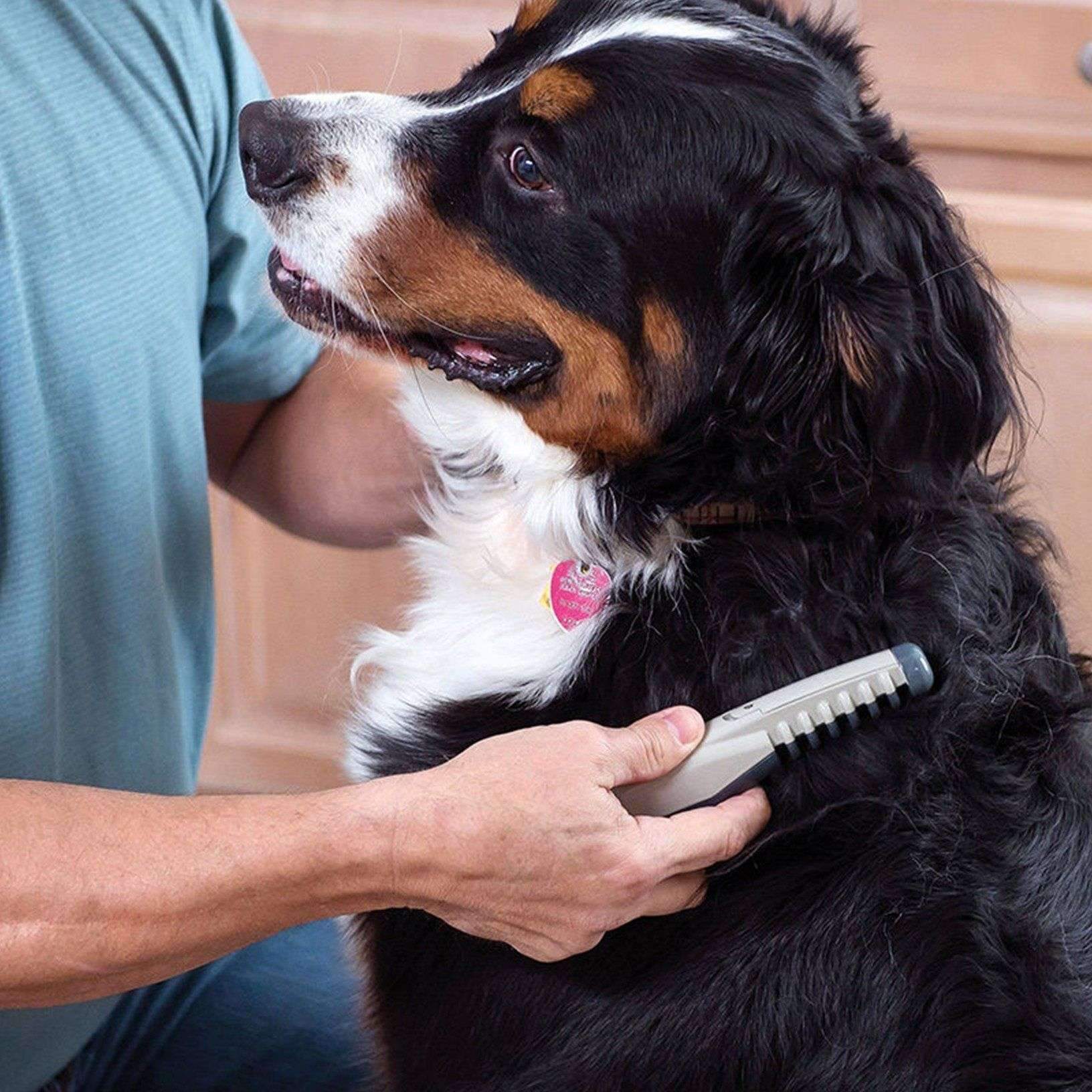 Electric Pet Grooming Comb - The Ultimate Pet Grooming Tool