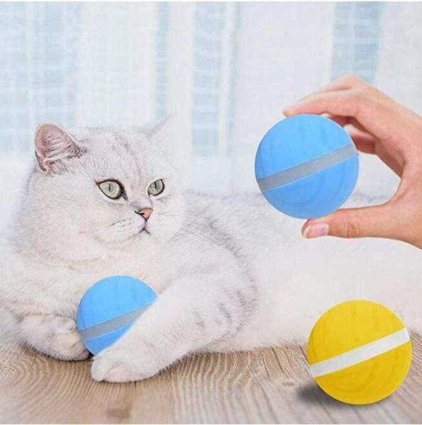 Pet Motion Ball