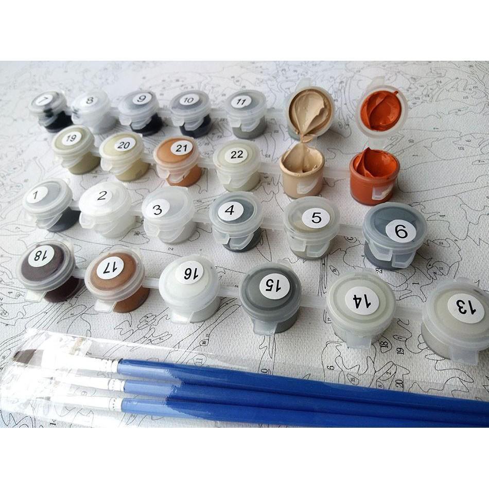 European Flowers - Van-Go Paint-By-Number Kit