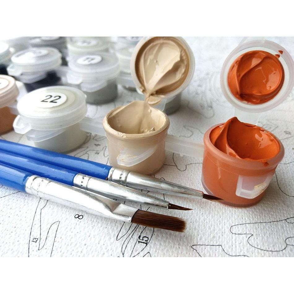 European Flowers - Van-Go Paint-By-Number Kit