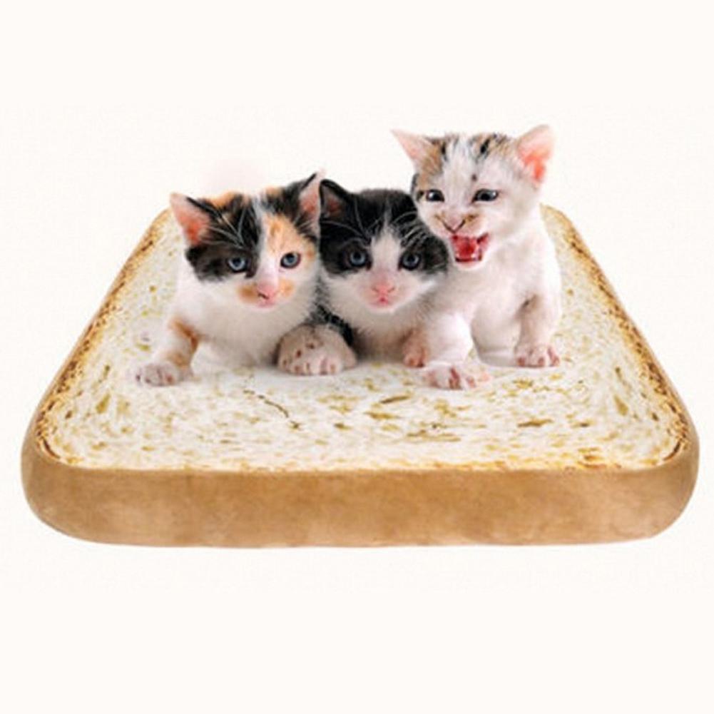 Cat Toast Bed