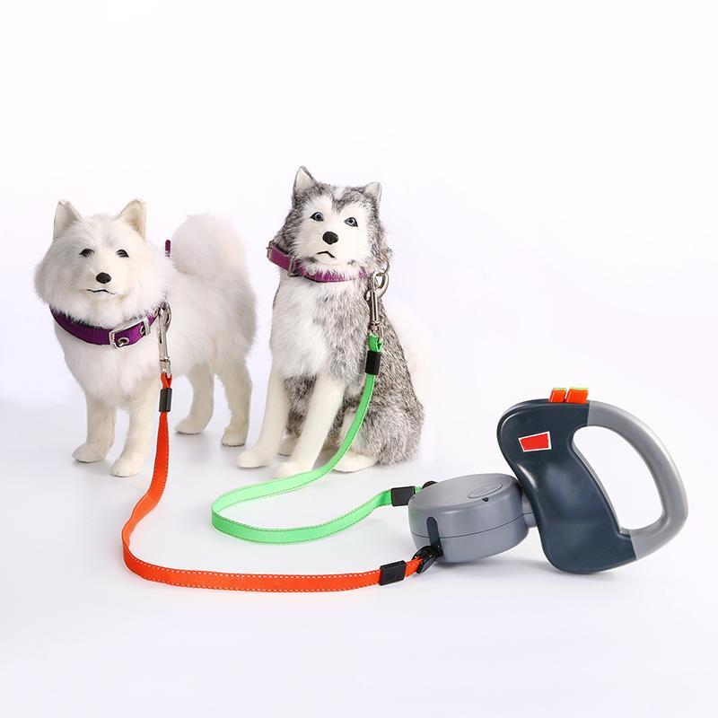 Dog Leash For Two