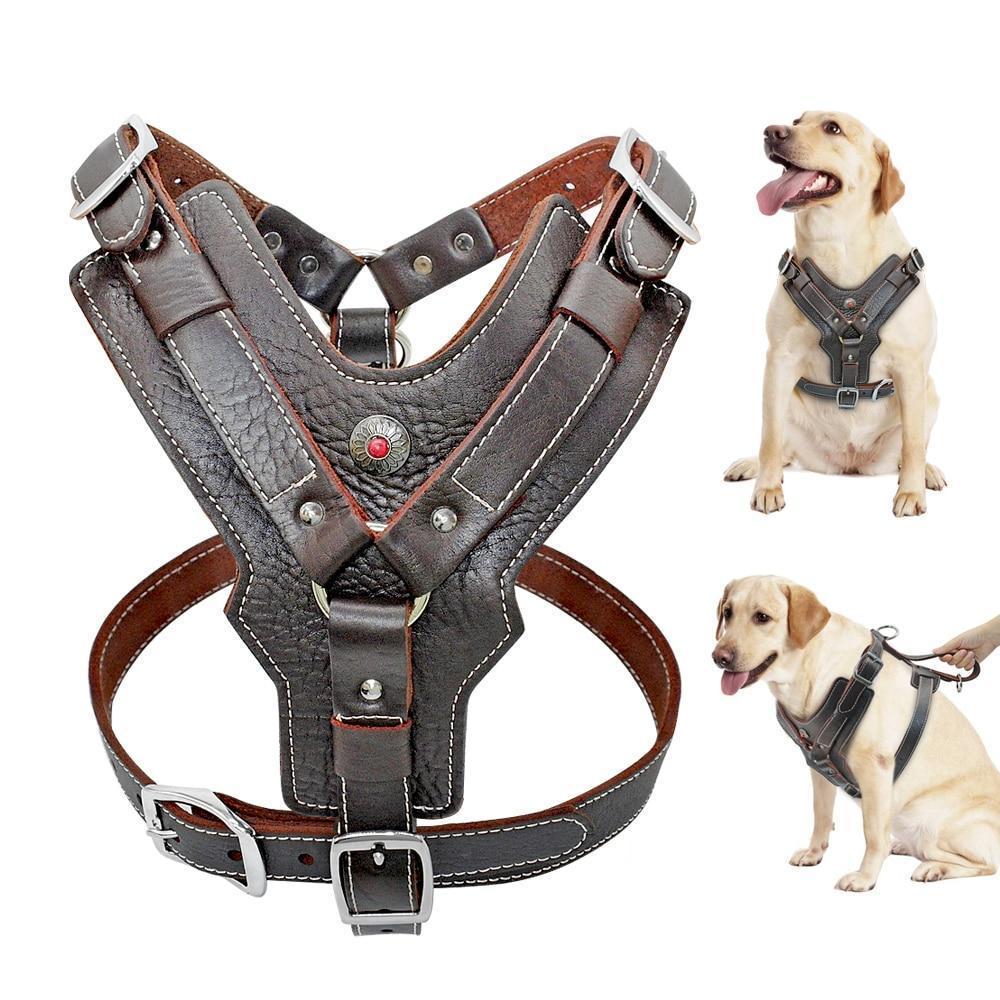 Extra Large Genuine Leather Dog Harness