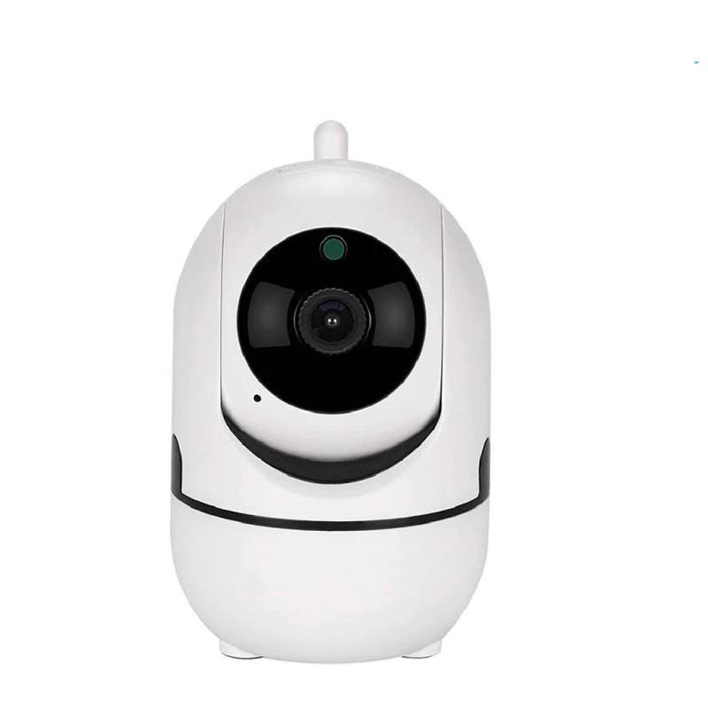 Intelligent Security Camera